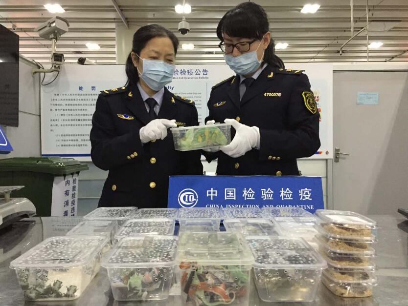 惠州平谭机场深圳福田口岸预约车接送